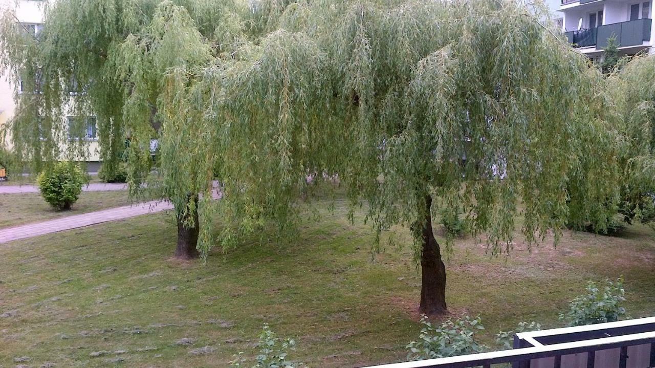 Zielona Herbowa Люблин Экстерьер фото